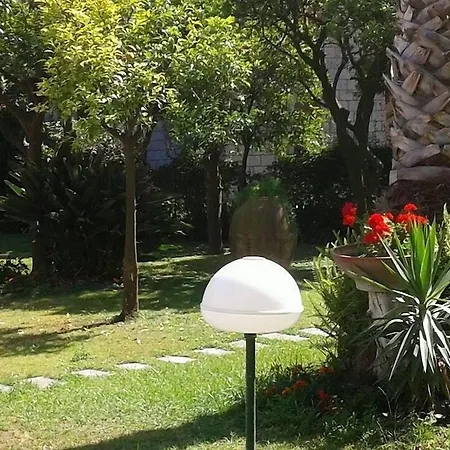 Szálloda Ara Maris & 5*