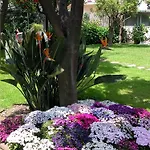 Ara Maris & 5* Sorrento