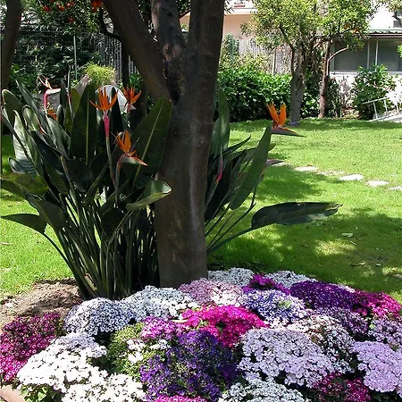 Ara Maris Hotel&spa 5* Sorrento