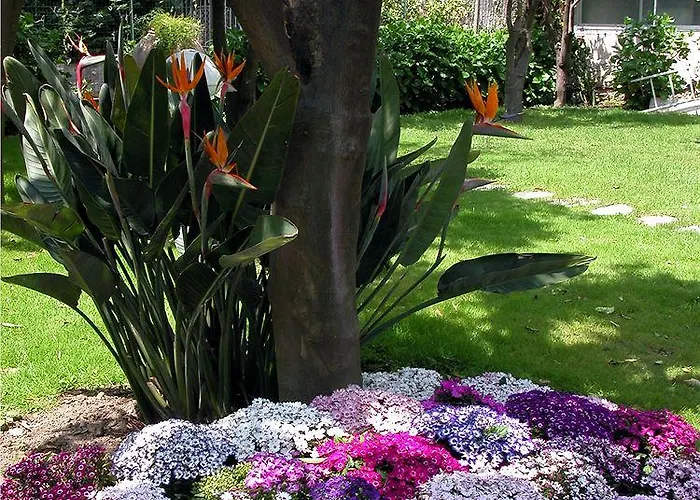 Ara Maris & 5* Sorrento